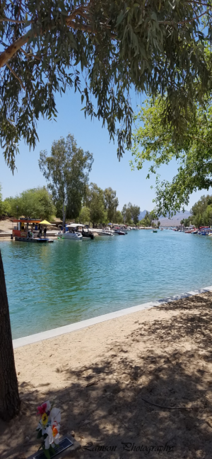 Lake Havasu Beach Phone Wallpaper